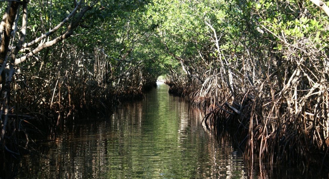 Everglades National Park