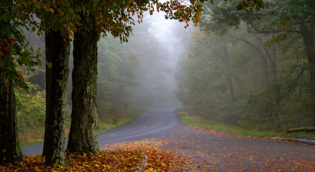 Shenandoah National Park