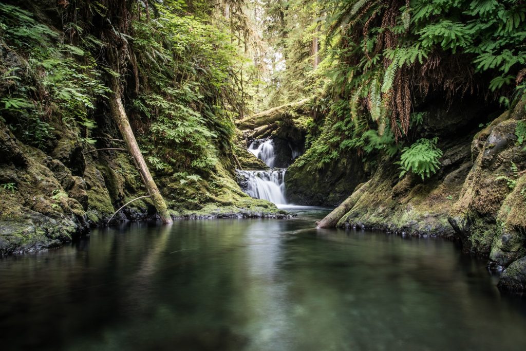 Olympic National Park