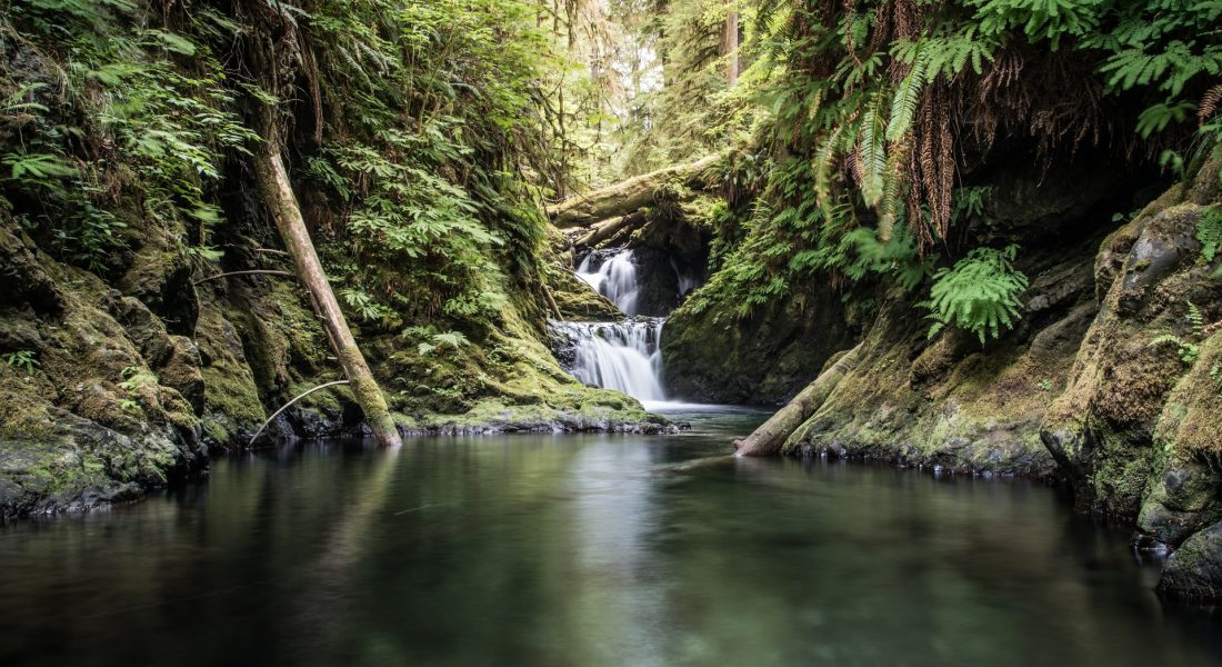 Olympic National Park