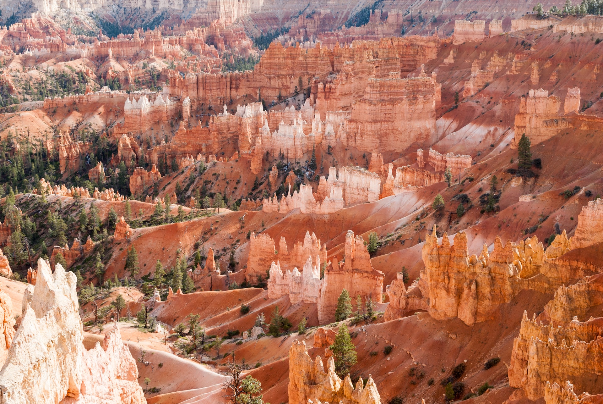 Bryce Canyons National Park