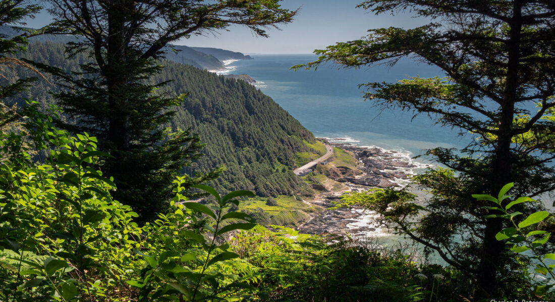 Siuslaw National Forest