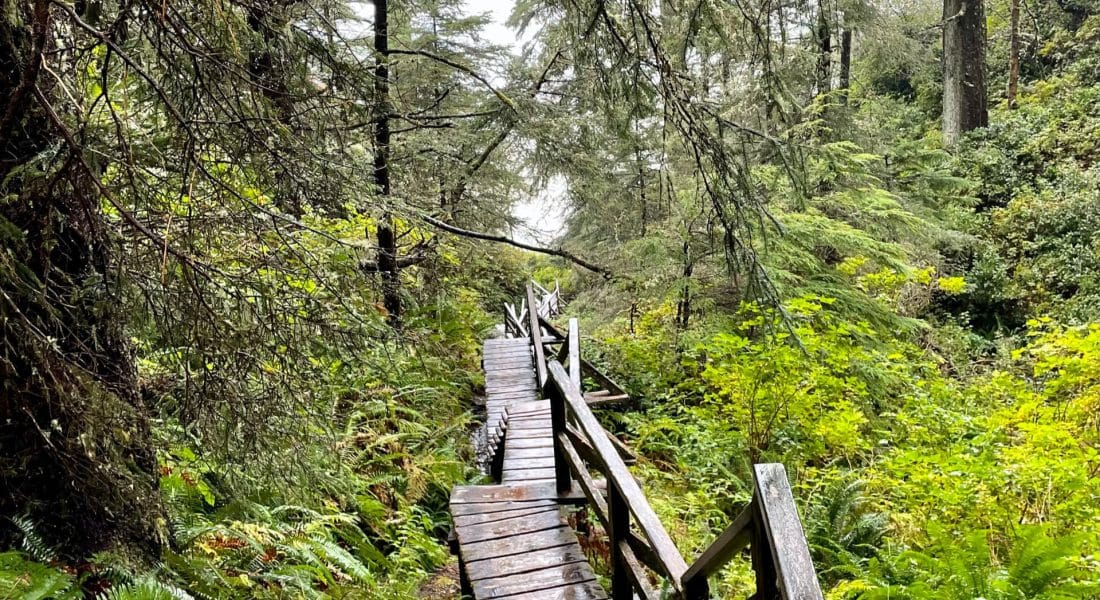 Pacific Rim National Park