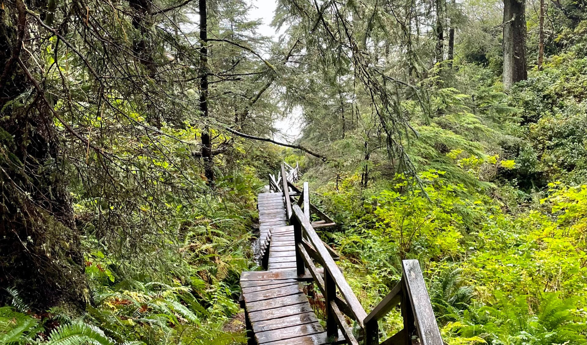 Pacific Rim National Park