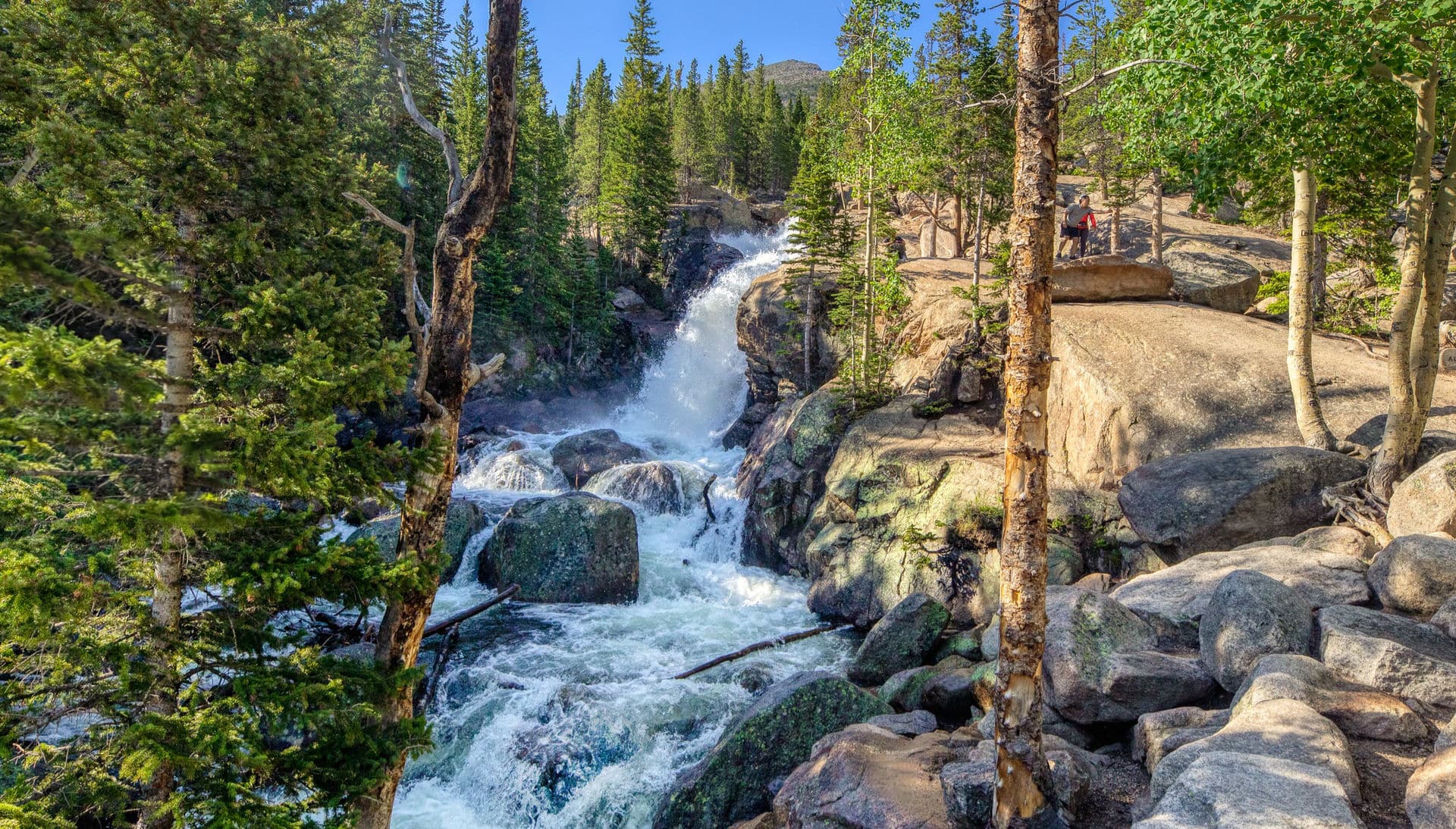 Visit the Rocky Mountain National Park from Denver in One Day - Road