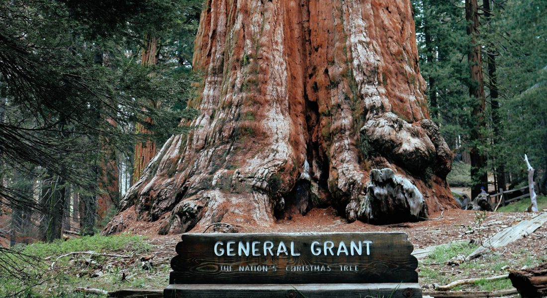 Sequoia National Park