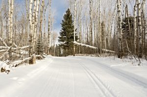 Saskatchewan Ski Resorts Ranked & Mapped