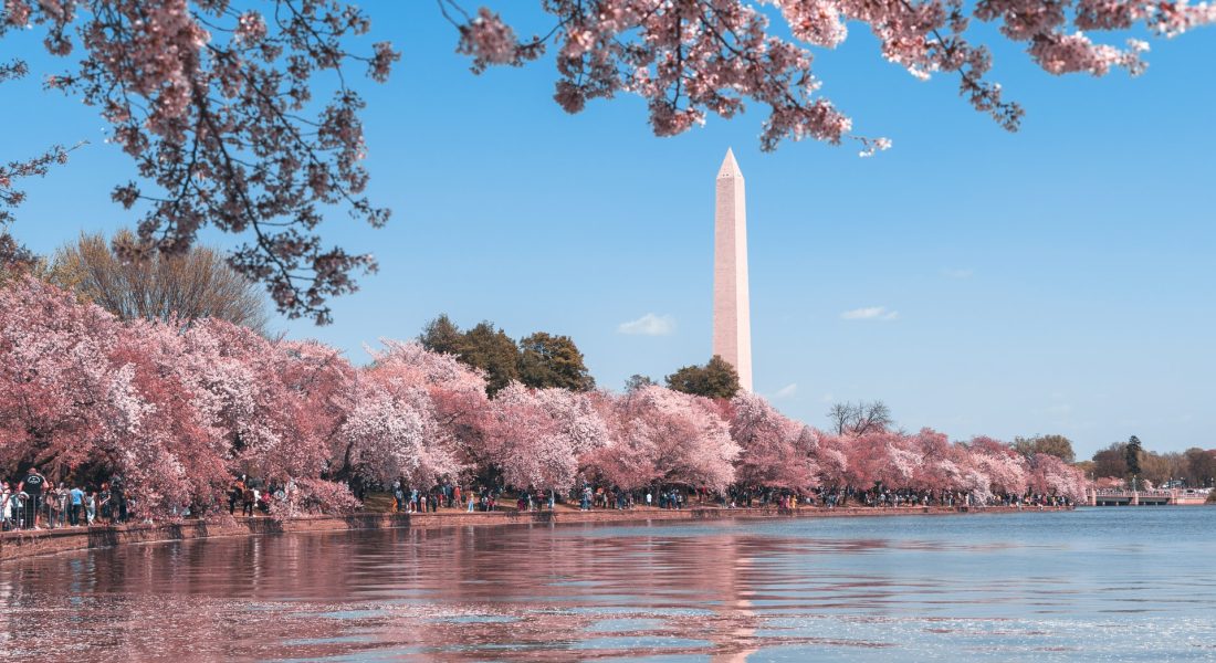 Washington Monument