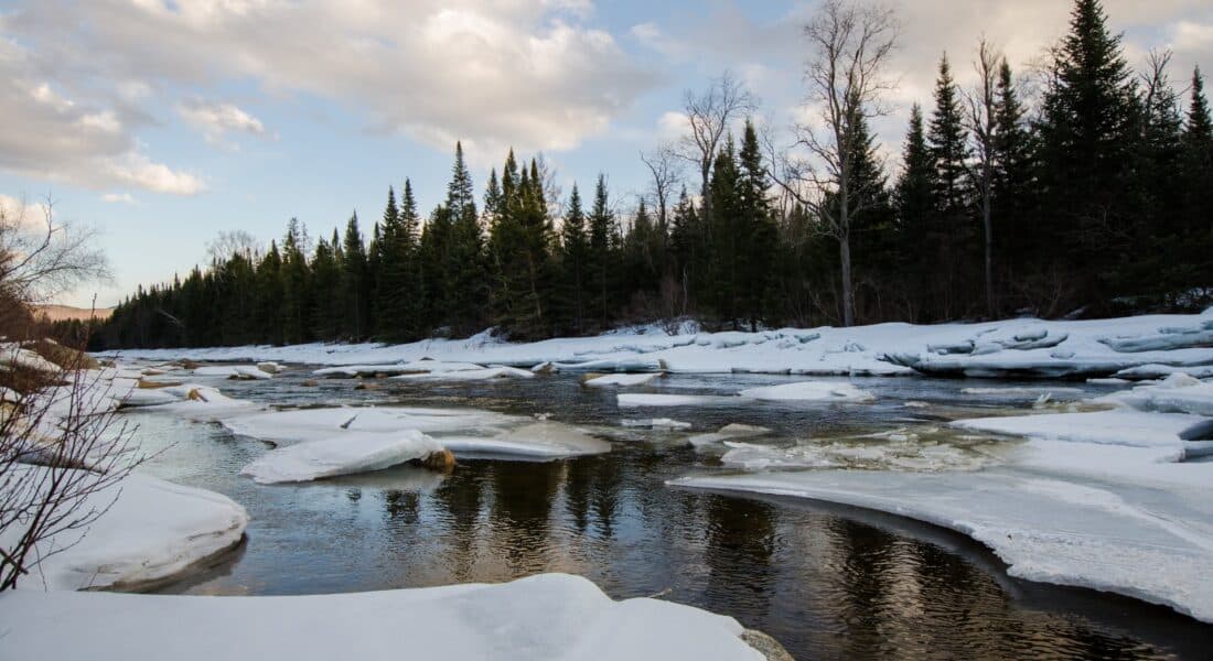 Acadia in Winter