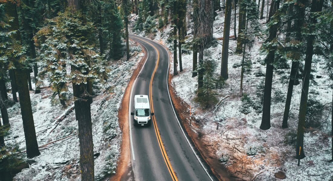 Sequoia in the Winter