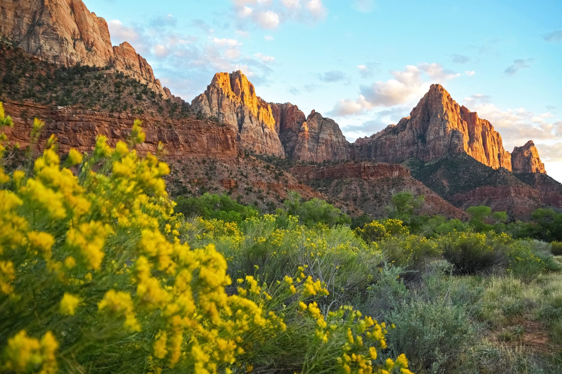 Zion in the Spring
