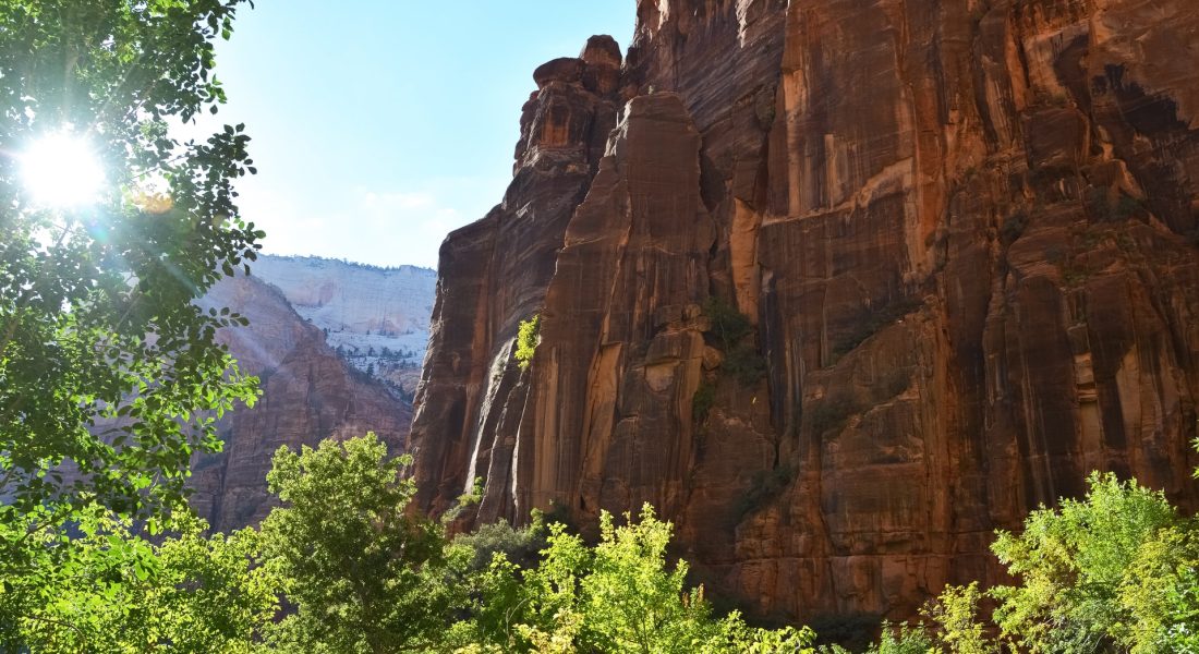 Zion in the Summer
