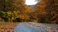 Smoky Mountains in Fall
