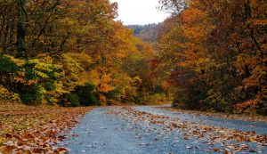 Great Smoky Mountains National Park Through the Seasons