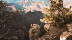 Grand Canyon in the Spring