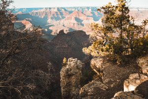 Grand Canyon National Park Through the Seasons