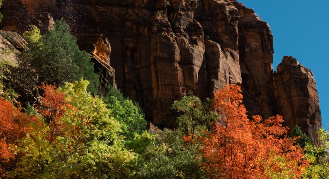 Zion in the Fall