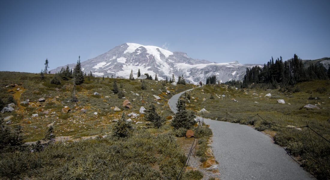 Mt. Rainier