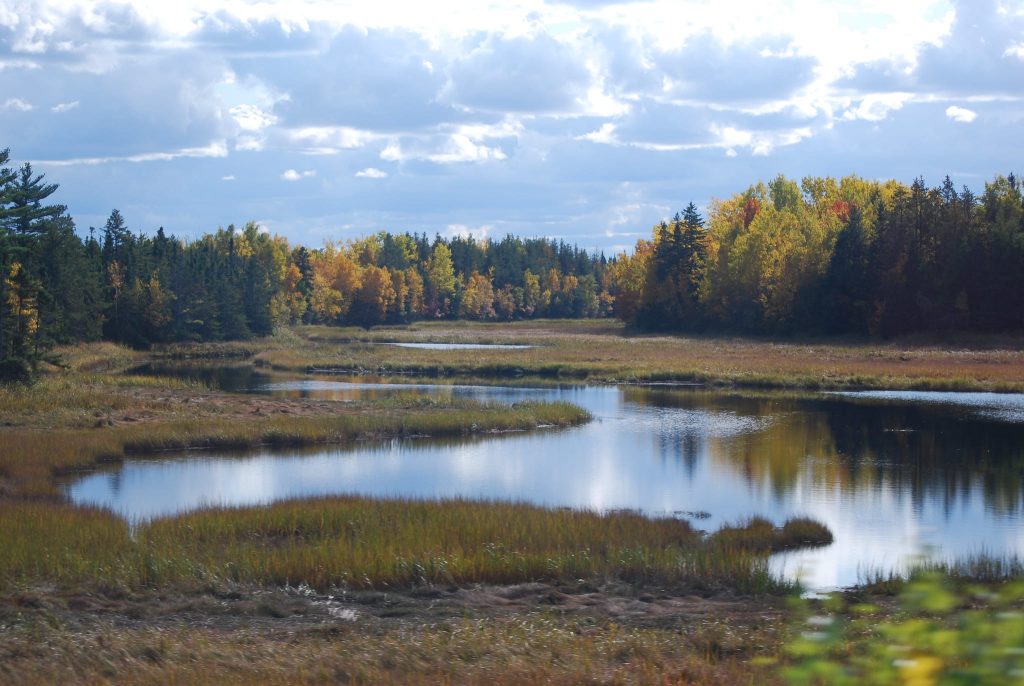 Kouchibouguac National Park Travel Guide Parks & Trips
