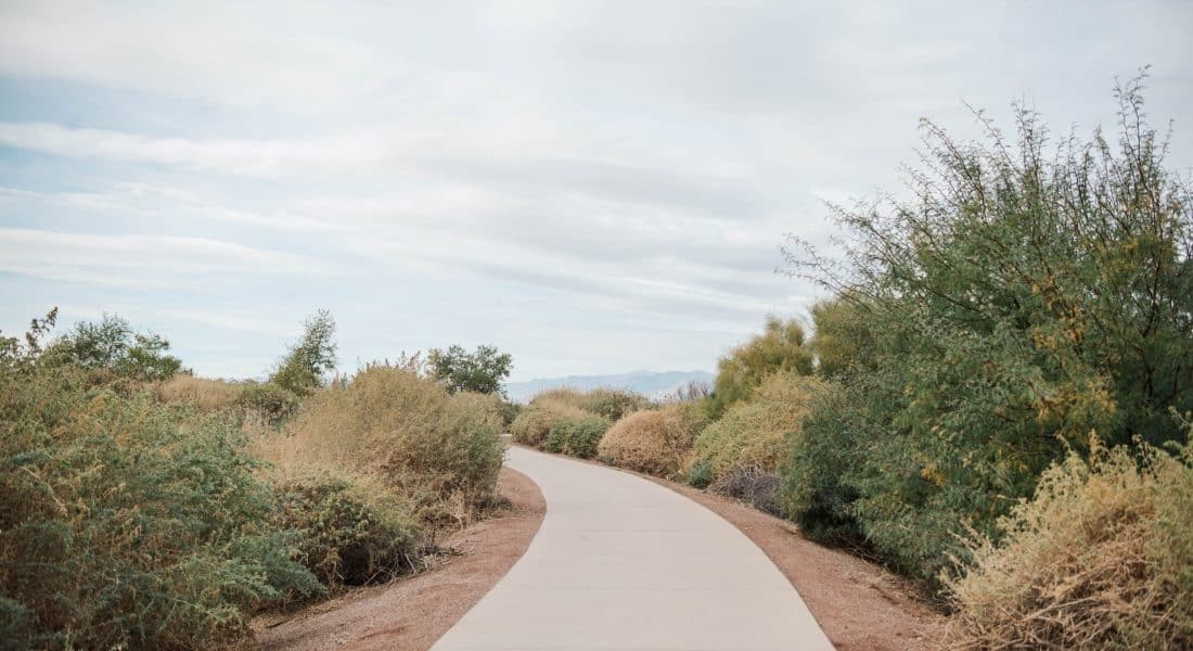 Clark County Wetlands Park