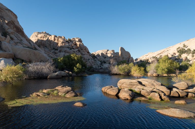 The Barker Dam Nature Trail in Joshua Tree National Park