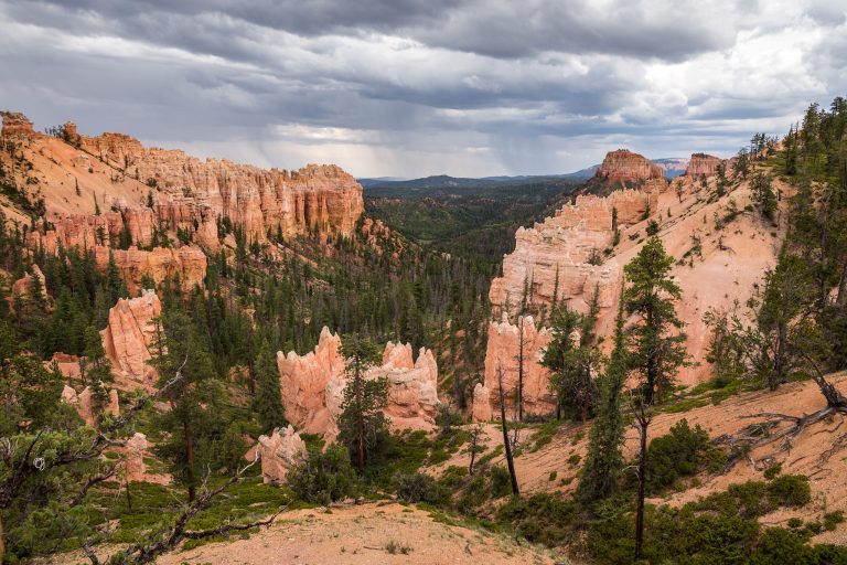 The Swamp Canyon Trail & Overlook in Bryce Canyon