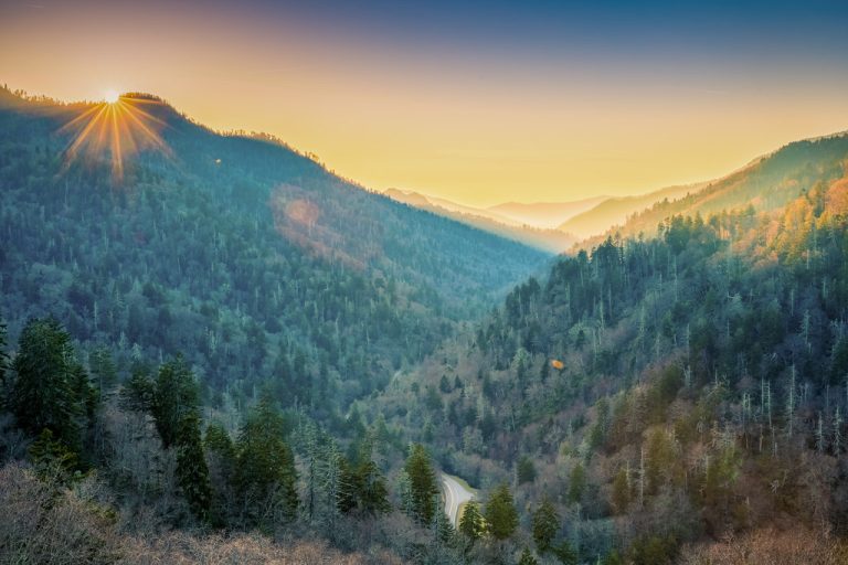 The Ben Morton Overlook in the Smoky Mountains