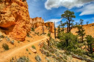 Hiking the Fairyland Loop Trail in Bryce Canyon