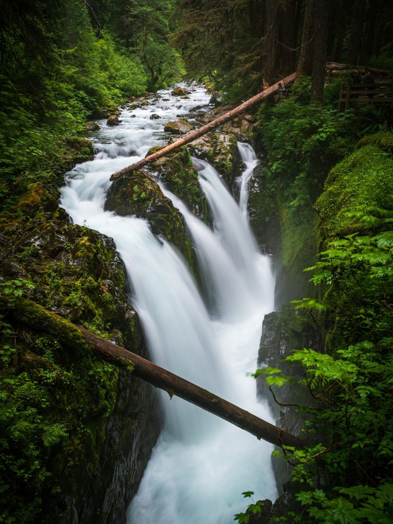 Hiking the Sol Duc Falls Trail in Olympic National Park