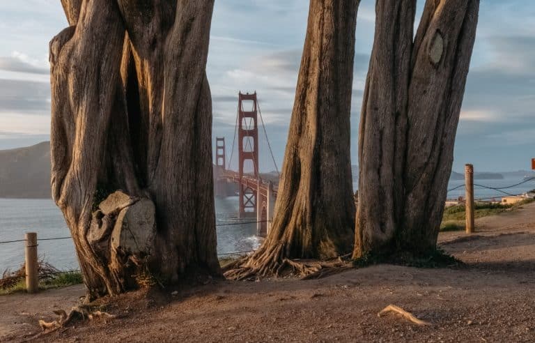 The Golden Gate Overlook at Presidio in San Francisco
