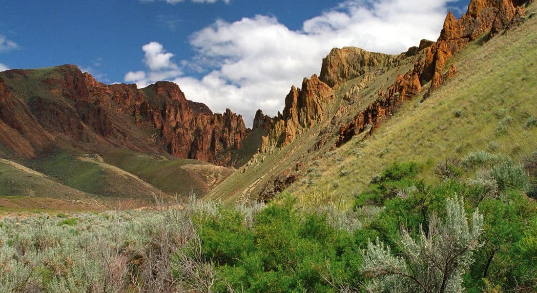 Hiking the Timber Gulch Trail in Oregon - Parks & Trips