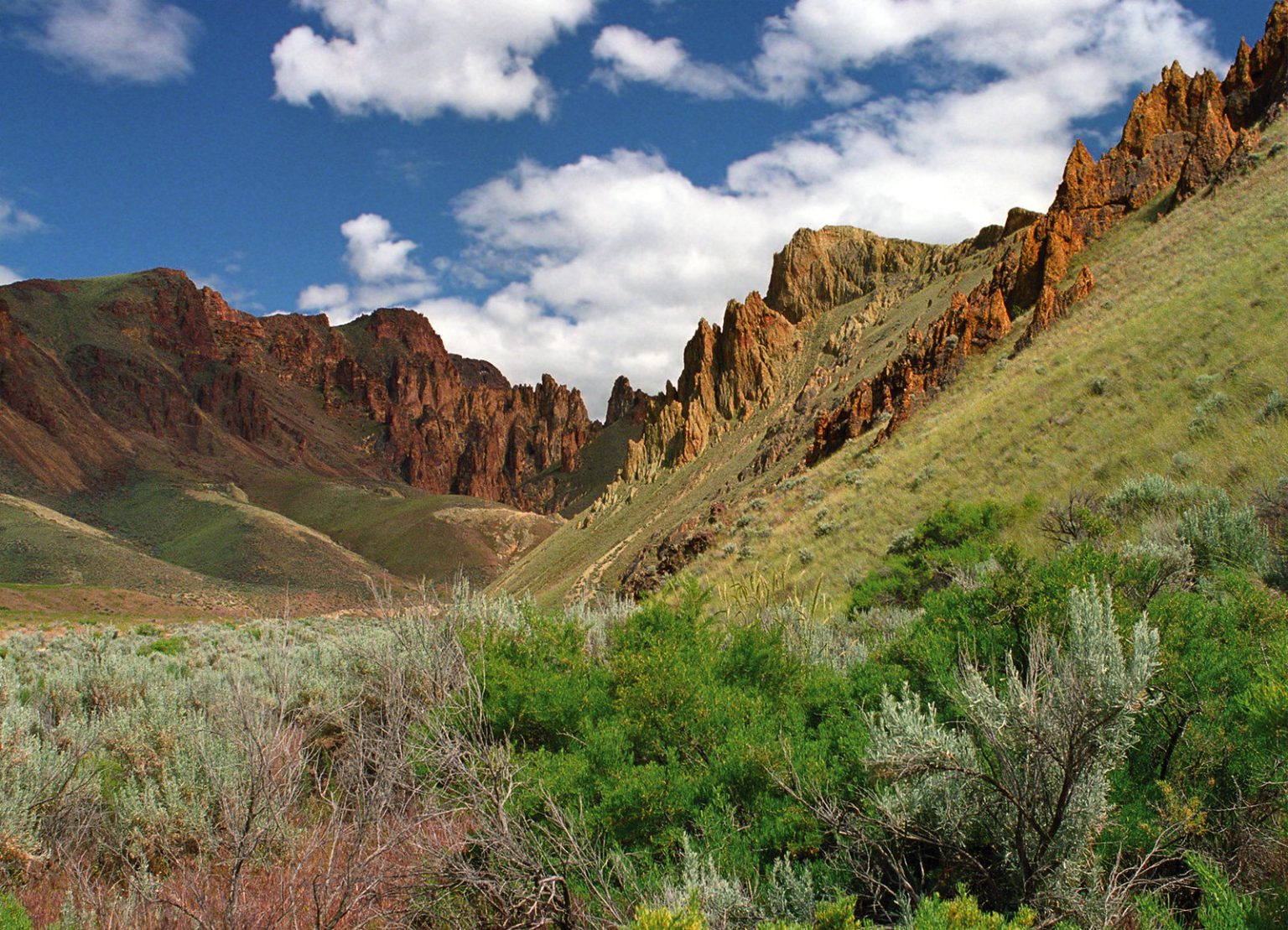 Hiking the Timber Gulch Trail in Oregon - Parks & Trips