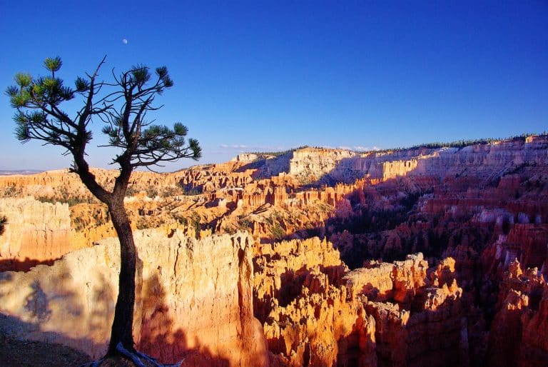 A Guide to Visiting Bryce Canyon’s Sunset Point